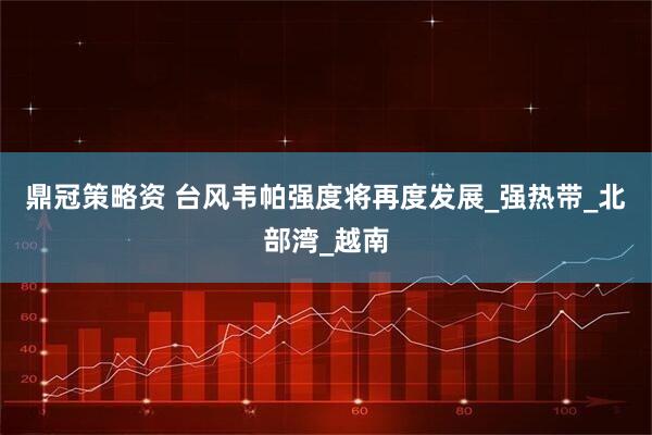 鼎冠策略资 台风韦帕强度将再度发展_强热带_北部湾_越南