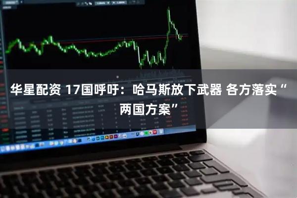 华星配资 17国呼吁：哈马斯放下武器 各方落实“两国方案”